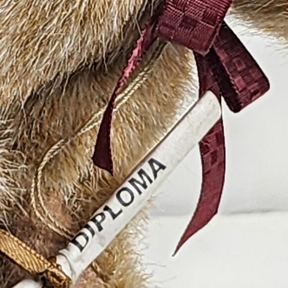 Vintage Boyd's Head Bean Collection Brown MISS GRADUATE Plush Stuffed Bear Toy - Picture 8 of 13